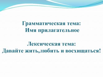 Презентация по русскому языку на тему Имя прилагательное