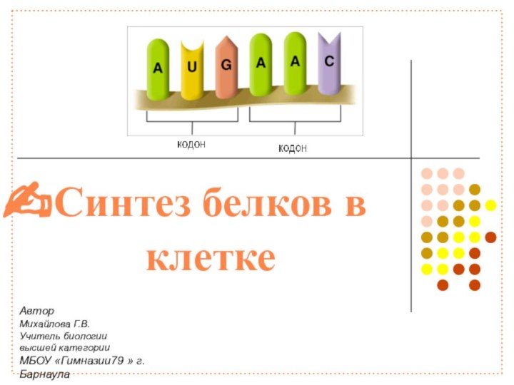 Автор Михайлова Г.В.Учитель биологиивысшей категории МБОУ «Гимназии79 » г.БарнаулаСинтез белков в клетке