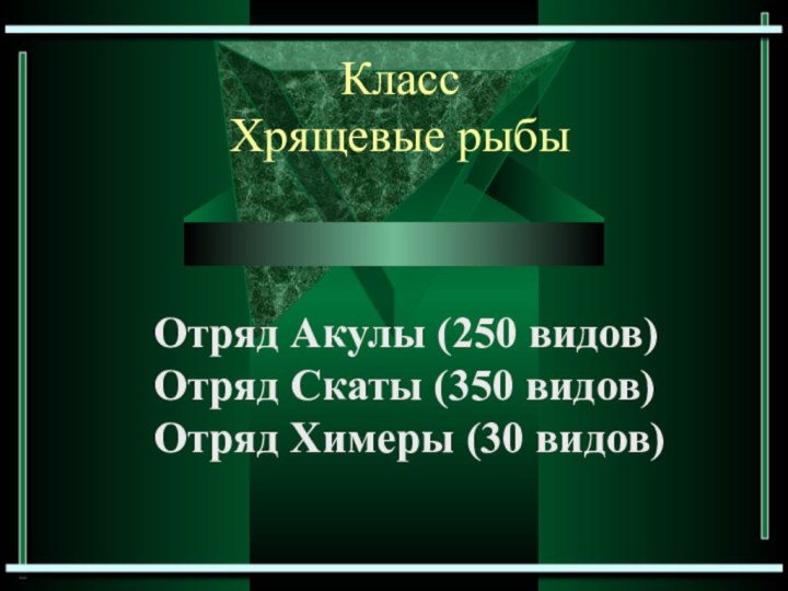 Класс Хрящевые рыбы Отряд Акулы (250 видов)Отряд Скаты (350 видов)Отряд Химеры (30 видов)