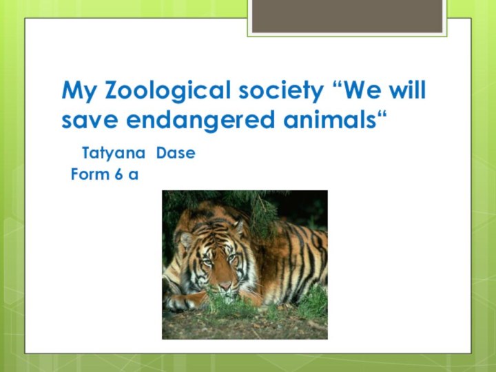 My Zoological society “We will save endangered animals“   Tatyana Dase  Form 6 a