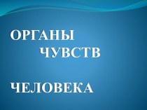 Презентация Органы чувств человека