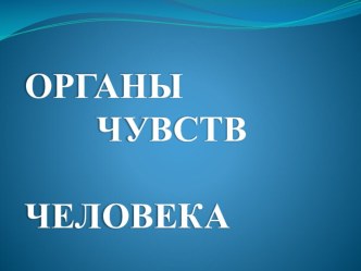 Презентация Органы чувств человека