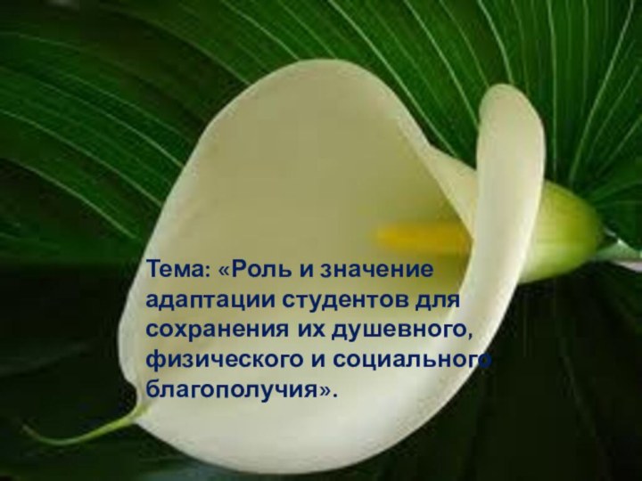 Тема: «Роль и значение адаптации студентов для сохранения их душевного, физического и социального благополучия».