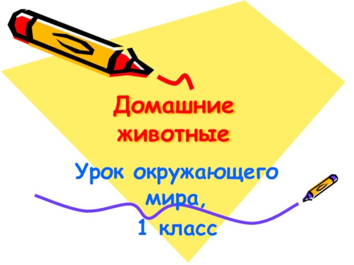 Домашние животные  Урок окружающего мира, 1 класс