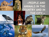 Презентация People and animals in the country and in the city