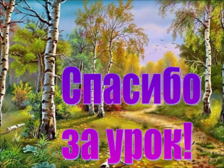 Спасибо  за урок!