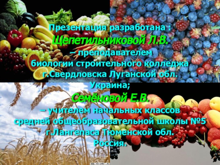 Презентация разработана :Щепетильниковой Л.В. – преподавателембиологии строительного колледжаг.Свердловска Луганской обл. Украина;Семёновой Е.В.