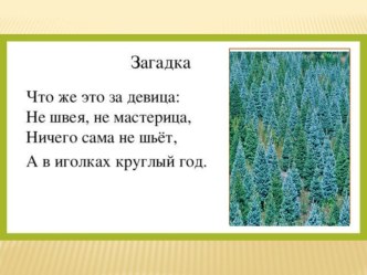 Презентация по русскому языку на тему:Буквы Ее и звуки, которые они обозначают