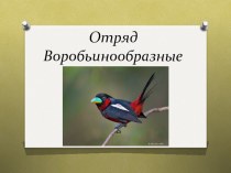 Презентация по биологии на тему: Отряд Воробьинообразные (7 класс)