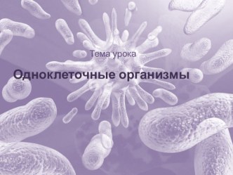 Презентация к уроку Одноклеточные организмы в 5 классе