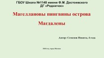 Магеллановы пингвины острова Магдалены