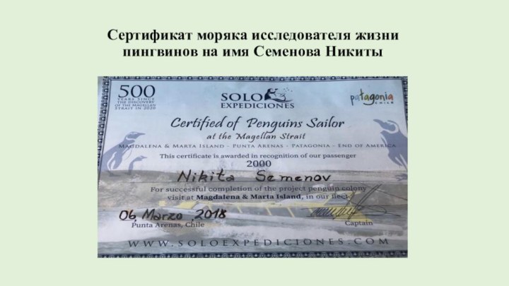 Сертификат моряка исследователя жизни пингвинов на имя Семенова Никиты