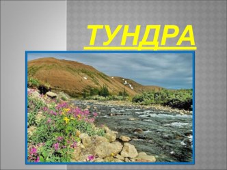 Презентация по окружающему миру на тему Тундра