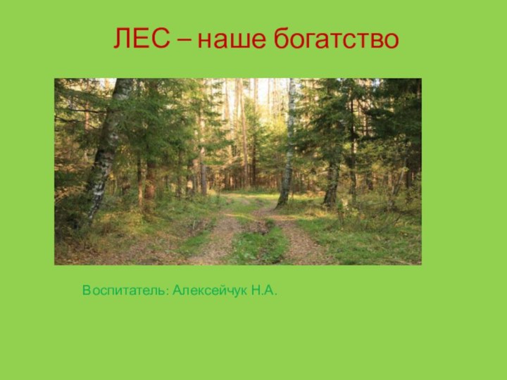 Воспитатель: Алексейчук Н.А.  ЛЕС – наше богатство