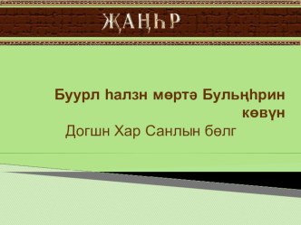 Презентация Глава о Строгом Санале