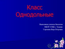 Презентация по биологии на тему Класс Однодольные(6 класс)