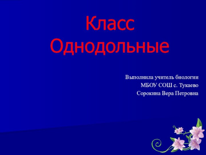 Класс ОднодольныеВыполнила учитель биологииМБОУ СОШ с. Тукаево Сорокина Вера Петровна