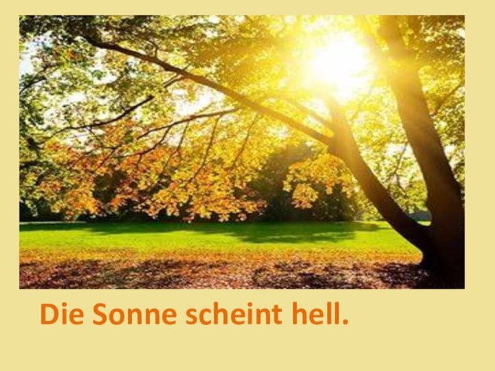 Die Sonne scheint hell.