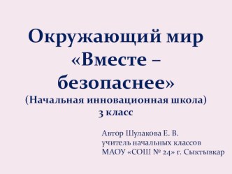 Презентация по окружающему миру на тему Вместе - безопаснее (3 класс)