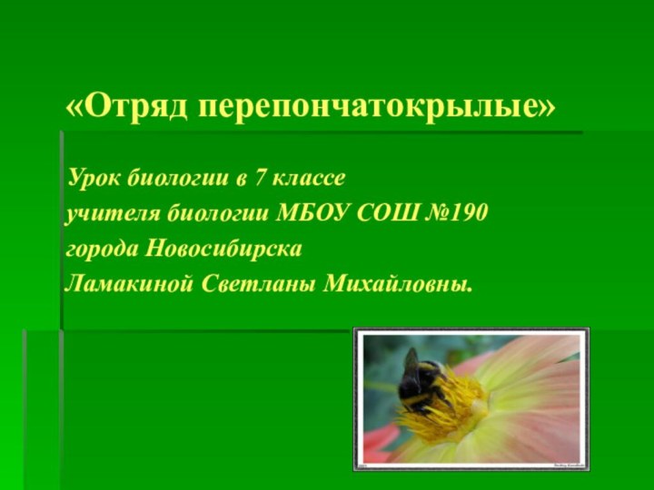 «Отряд перепончатокрылые»Урок биологии в 7 классе учителя биологии МБОУ СОШ №190города НовосибирскаЛамакиной Светланы Михайловны.