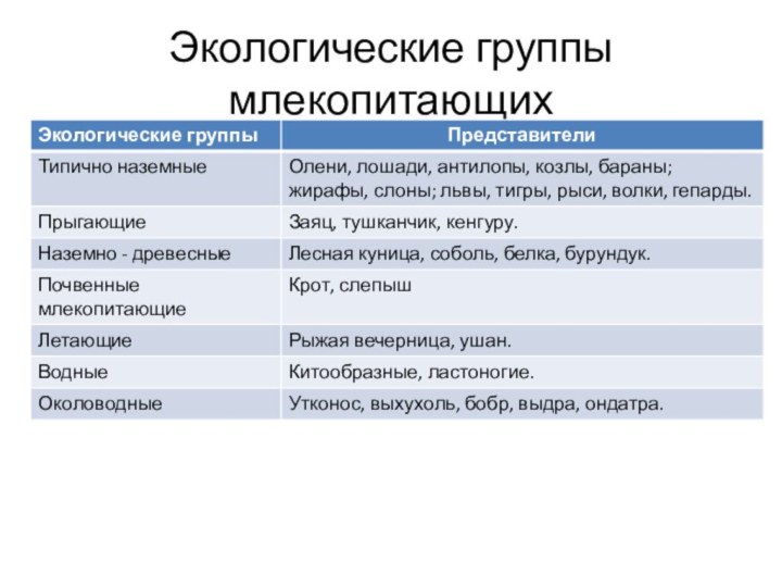 Экологические группы млекопитающих