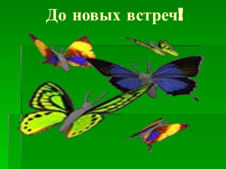 До новых встреч!