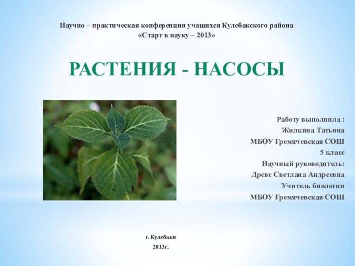 Научно – практическая конференция учащихся Кулебакского района«Старт в науку – 2013»Растения -