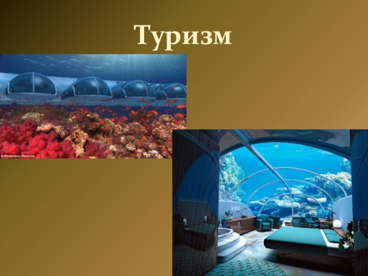 Туризм