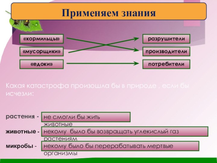 Какая катастрофа произошла бы в природе , если бы исчезли: растения -