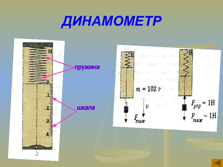 ДИНАМОМЕТРпружинашкала