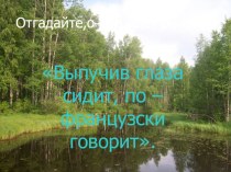 Презентация по биологии Отгадайте, о ком идет речь