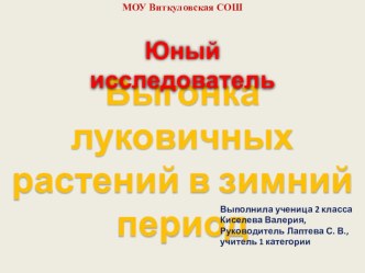 Презентация к исследовательской работе на тему Выгонка луковичных растений в зимний период (2 класс)