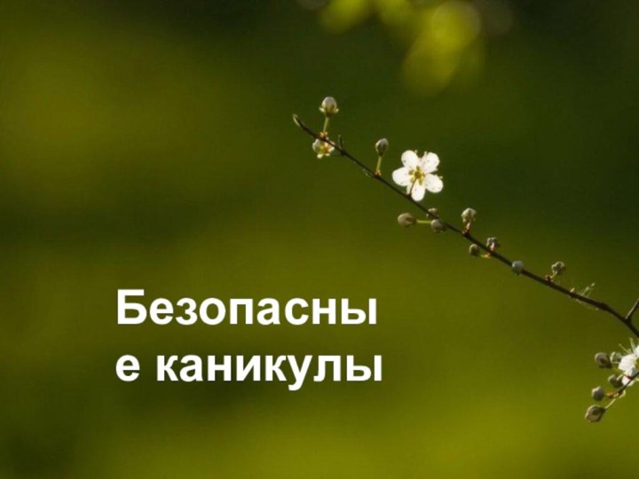 Безопасные каникулы