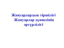 Презентация жануарлар әлемінің әртүрлігі