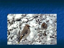 Презентация праздника Покормите птиц зимой