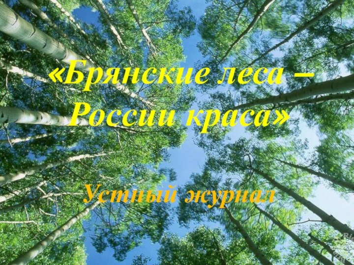 «Брянские леса – России краса»  Устный журнал