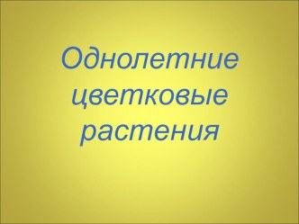 Презентация по цветоводству Однолетние цветковые растения