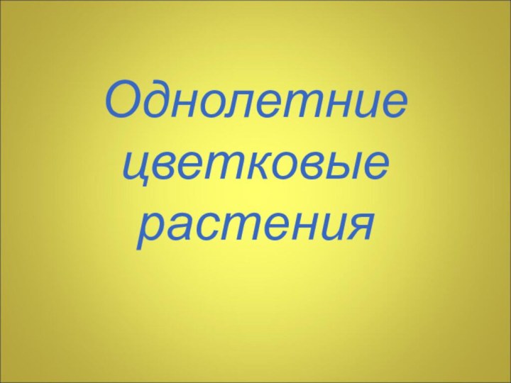 Однолетние цветковые растения