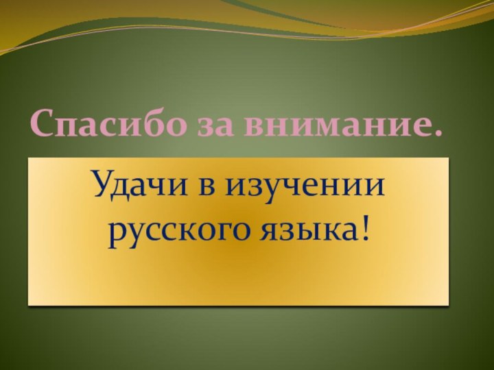 Спасибо за внимание.Удачи в изучении русского языка!