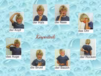 Презентация по немецкому языку Körperteile