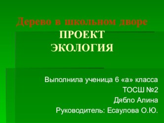 ТВОРЧЕСКИЙ ПРОЕКТ ПО ЭКОЛОГИИ О ДЕРЕВЬЯХ В ШКОЛЬНОМ ДВОРЕ