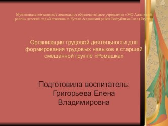 Презентация по трудовому воспитанию на тему Наведем порядок в группе