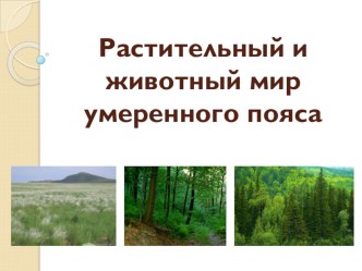 Презентация по географии на тему Растительный и животный мир умеренного пояса (5 класс)