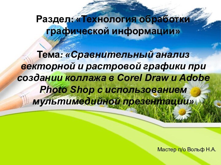 Мастер п/о Вольф Н.А.Раздел: «Технология обработки графической информации» Тема: «Сравнительный анализ векторной и