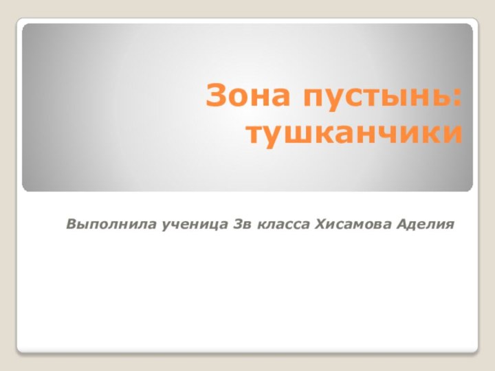 Зона пустынь:тушканчикиВыполнила ученица 3в класса Хисамова Аделия