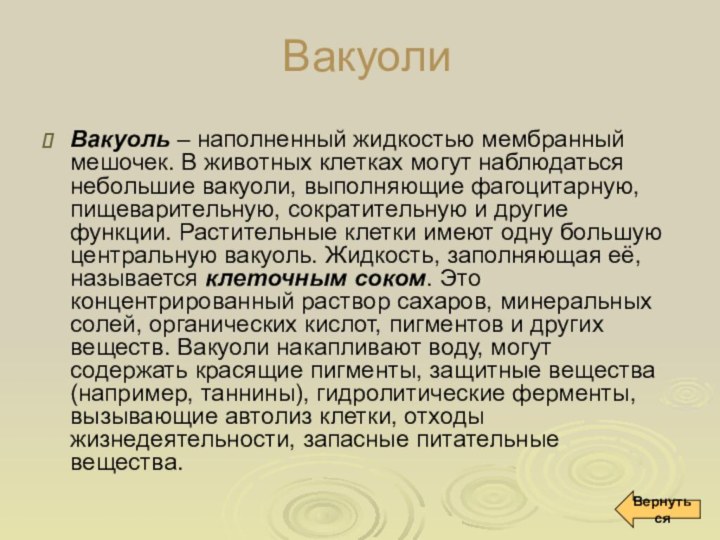 ВакуолиВакуоль – наполненный жидкостью мембранный мешочек. В животных клетках могут наблюдаться небольшие