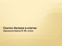 Презентация по биологии на тему Синтез белков в клетке (9 класс)