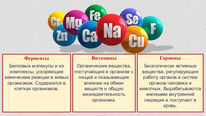 Презентация ферменты витамины гормоны