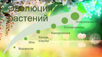 Презентация по биологии Покрытосеменные растения (7 класс)