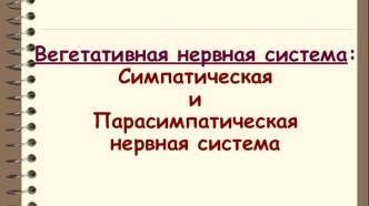 Презентация к уроку Вегетативная нервная система